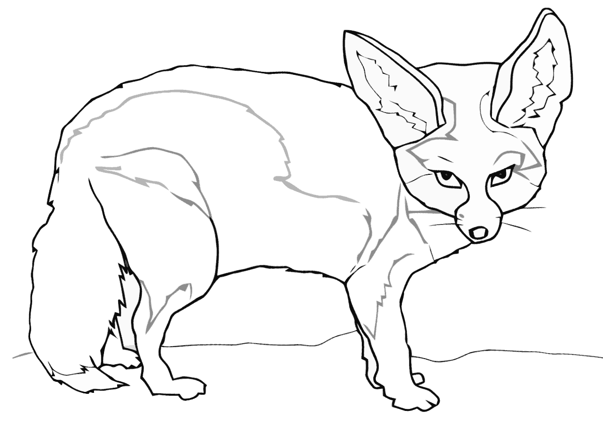 Fennec fox coloring pages | Coloring pages to download and print