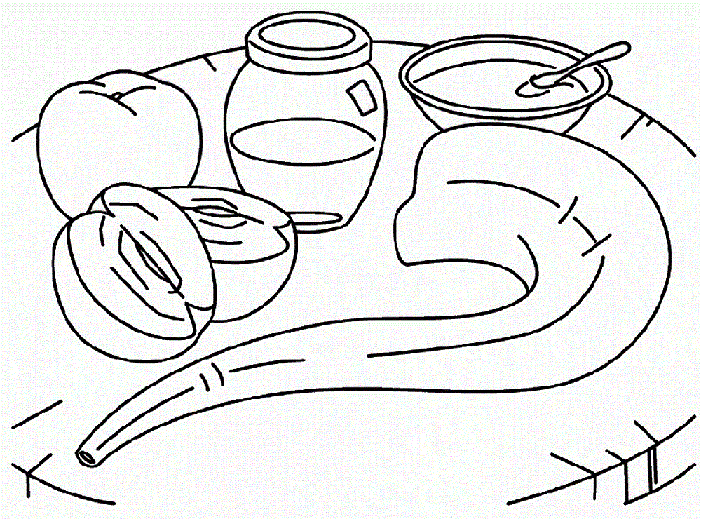 20 Free Printable Rosh Hashanah Coloring Pages