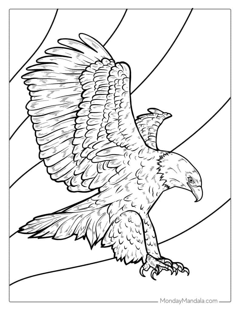 30 Bald Eagle Coloring Pages (Free PDF Printables)