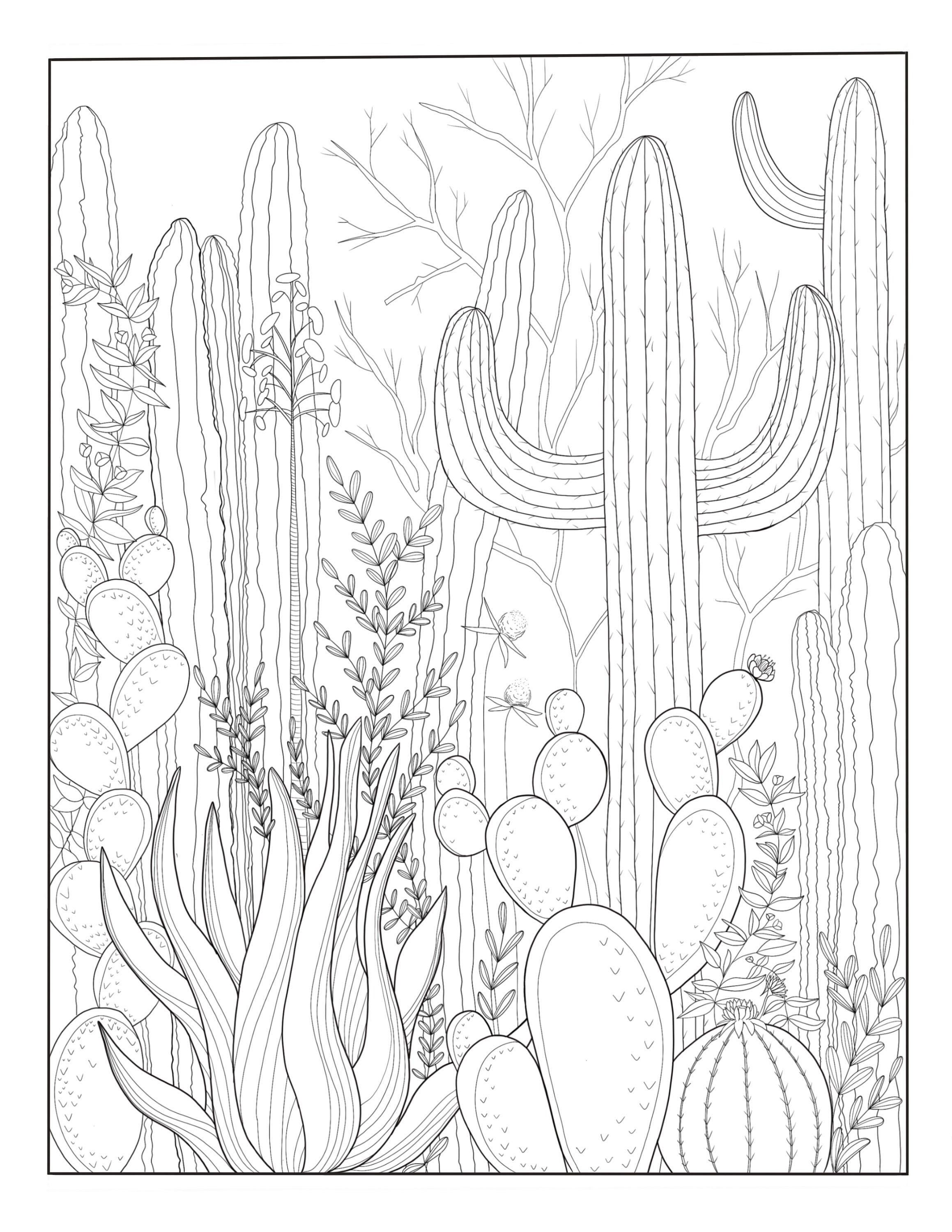 Pin on Coloring Pages