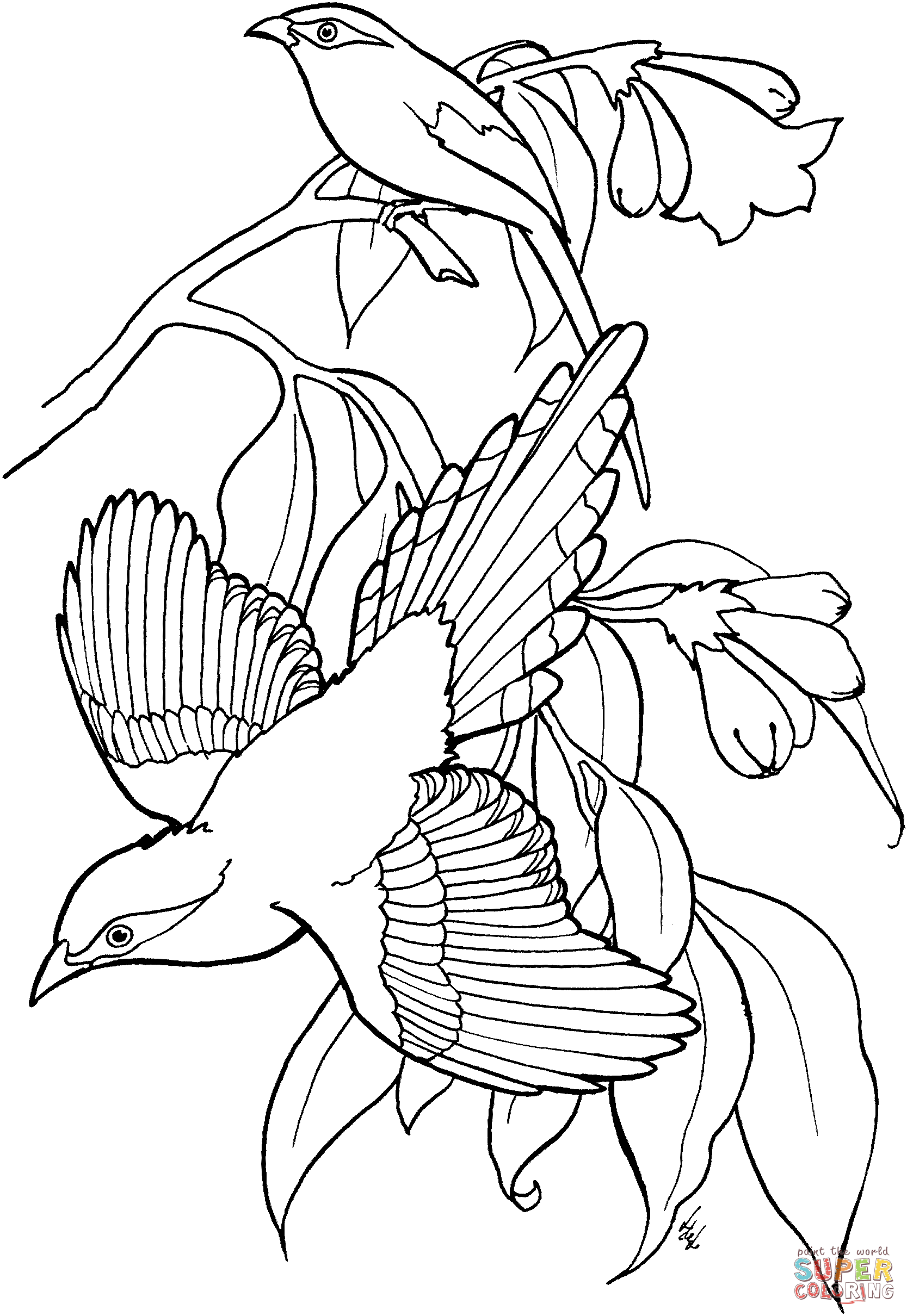 Green Magpies coloring page | Free Printable Coloring Pages