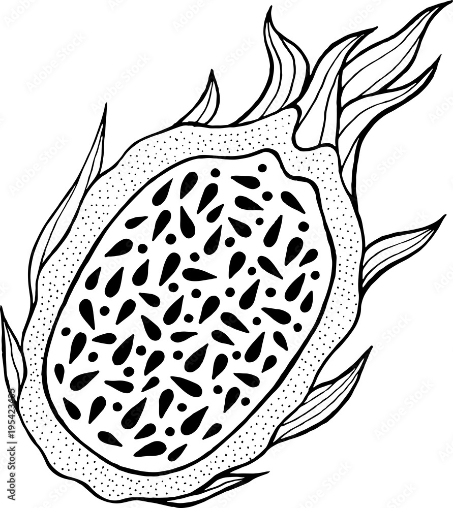 Dragon fruit coloring page. Line art ...