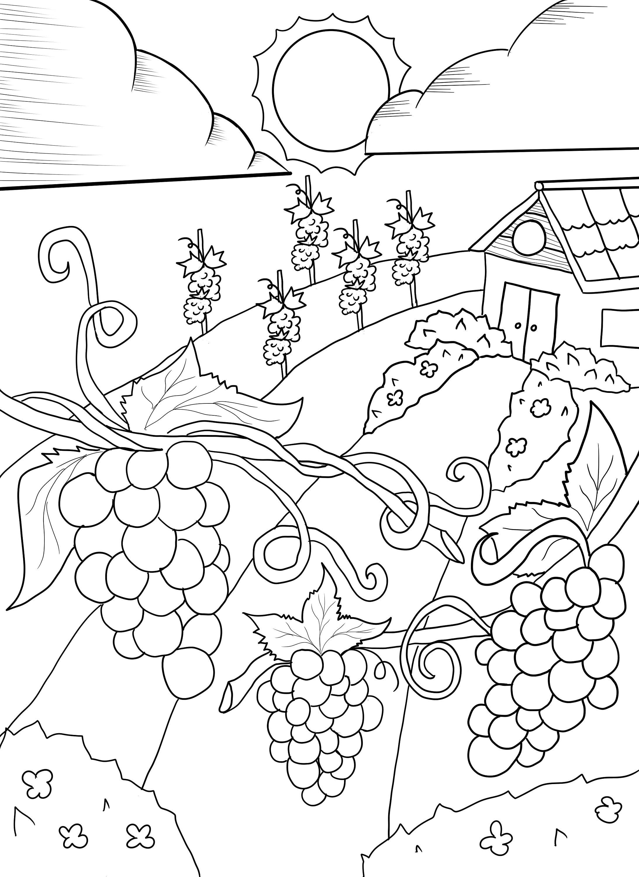 Wine Vineyard Coloring Page Instant ...