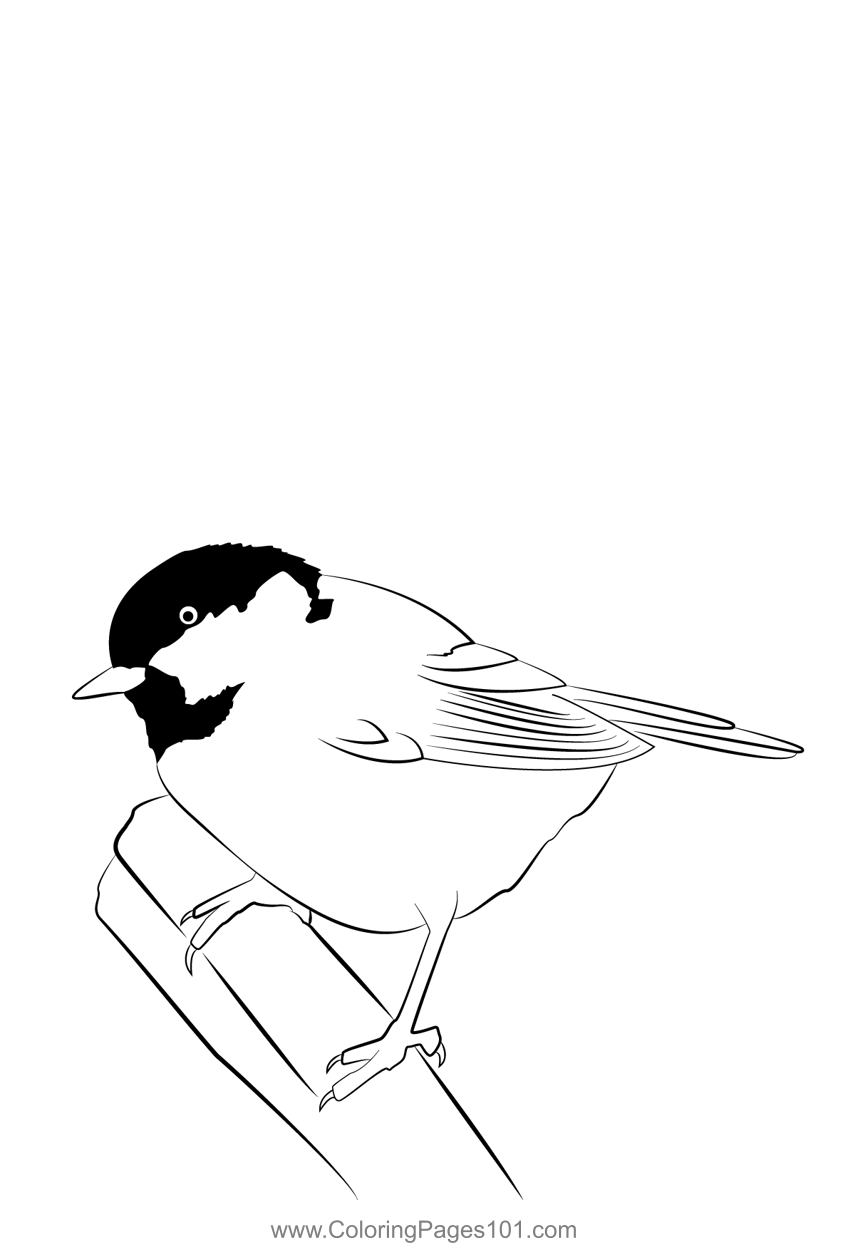 Coal Tit 7 Coloring Page for Kids - Free Bearded Tits Printable Coloring  Pages Online for Kids - ColoringPages101.com | Coloring Pages for Kids