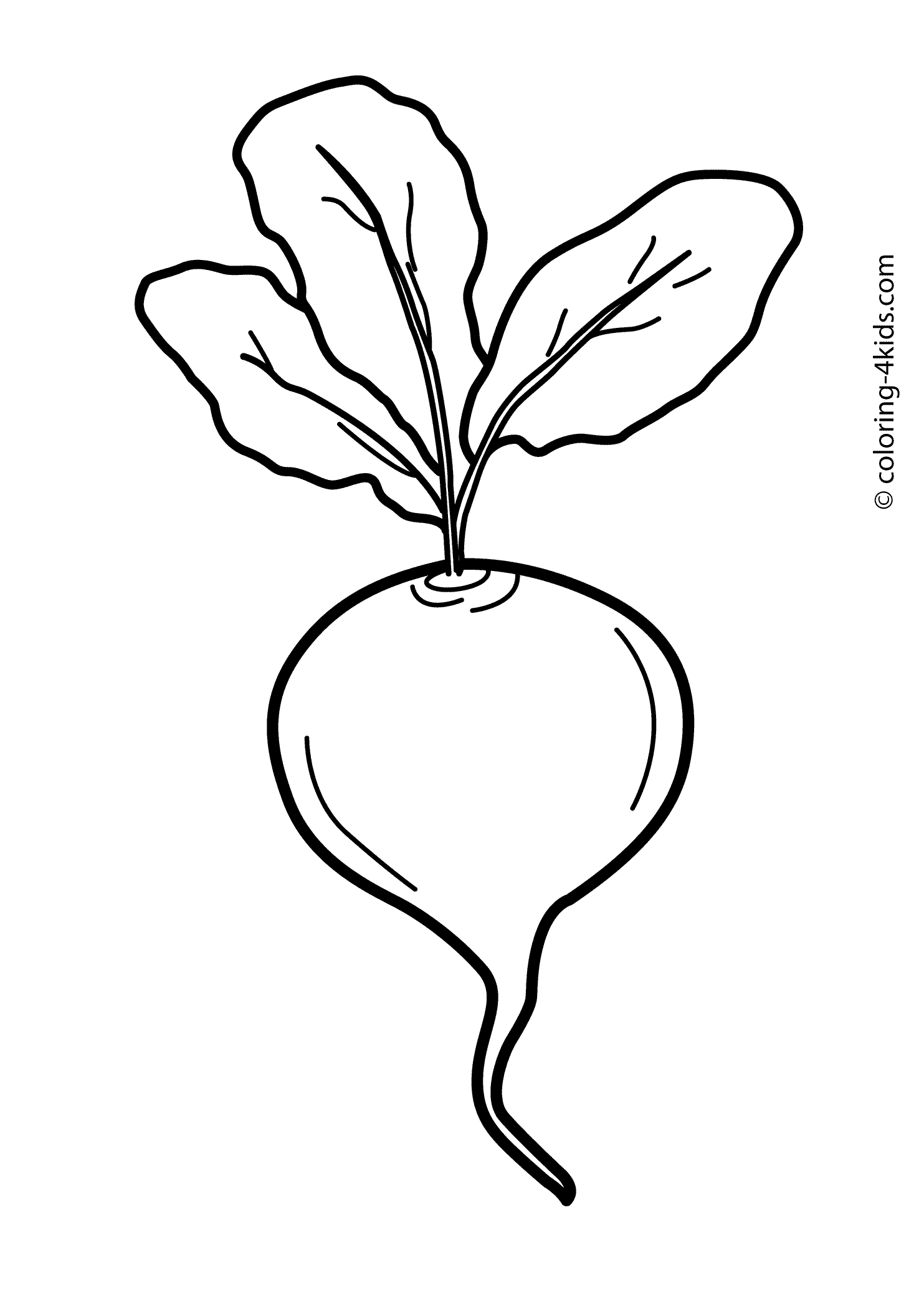 Beet vegetable coloring page for kids, printable | Vegetable coloring pages,  Coloring pages, Coloring pages for kids