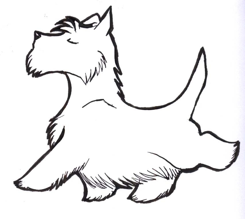 scottish terrier cartoon drawing - Clip Art Library