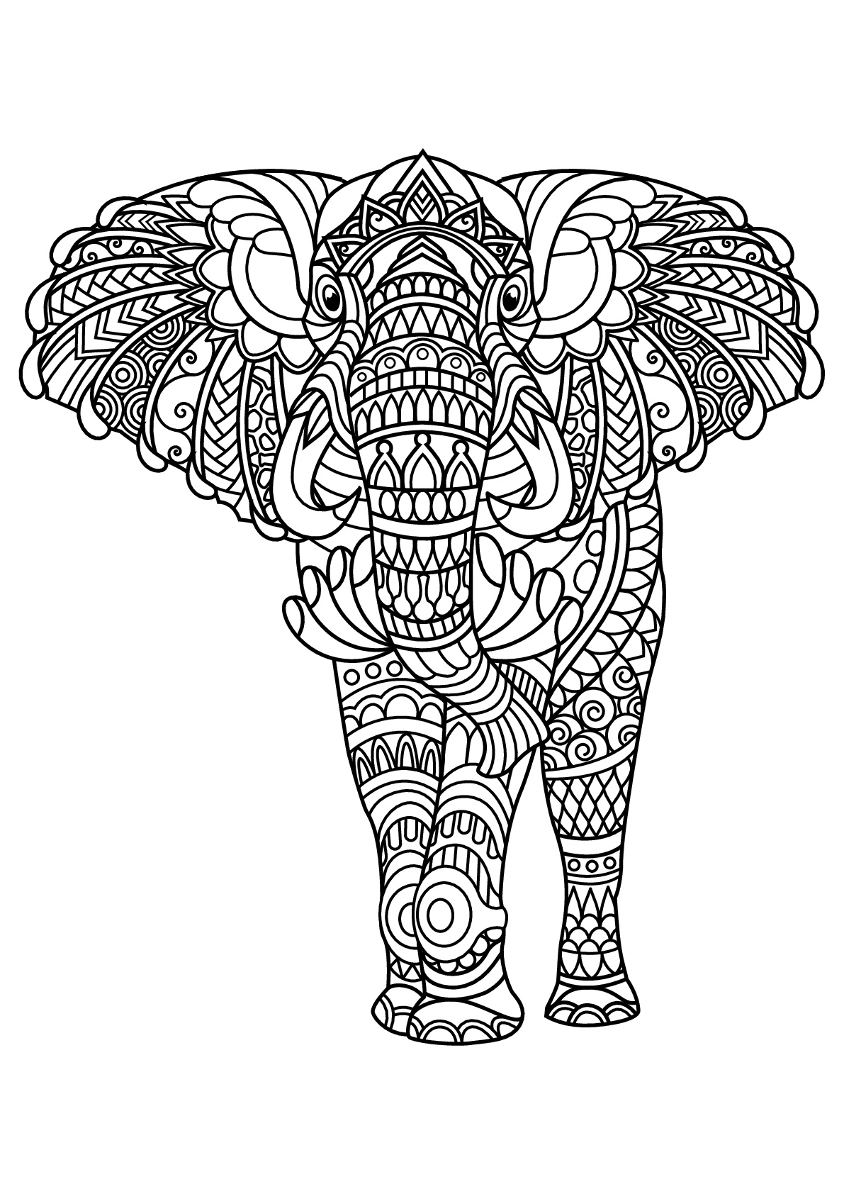 Free book elephant - Elephants Adult Coloring Pages