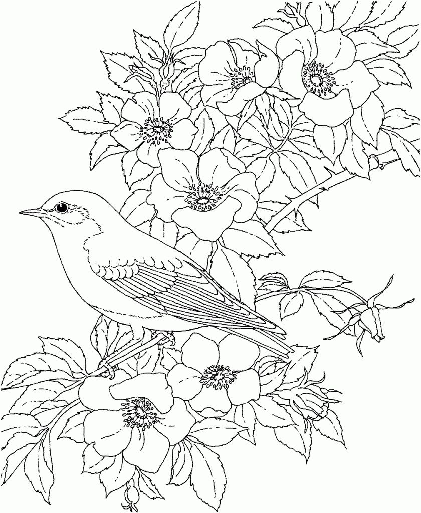 Adult Flowers | Free Coloring Pages on Masivy World