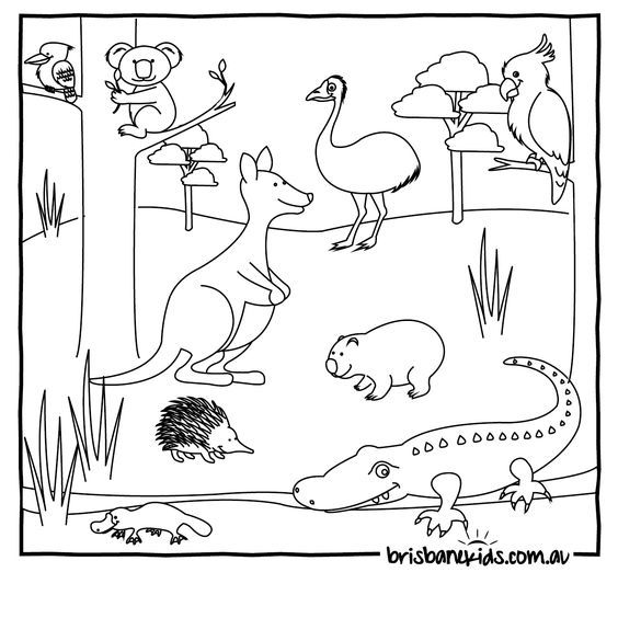 Australian Animals Colouring Pages | Australian Animals, Colouring ...