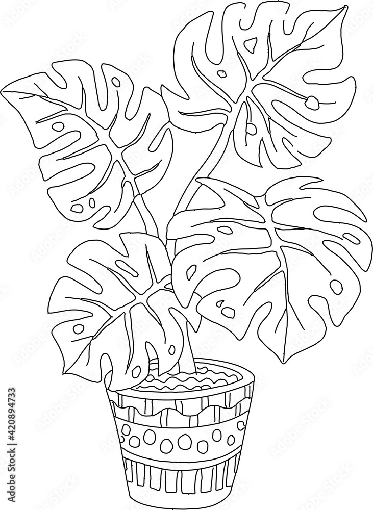Hand drawn coloring page for kids and adults. Potted plant Monstera.  Beautiful drawing with patterns and small details. Coloring pictures.  Vector Stock Vector | Adobe Stock