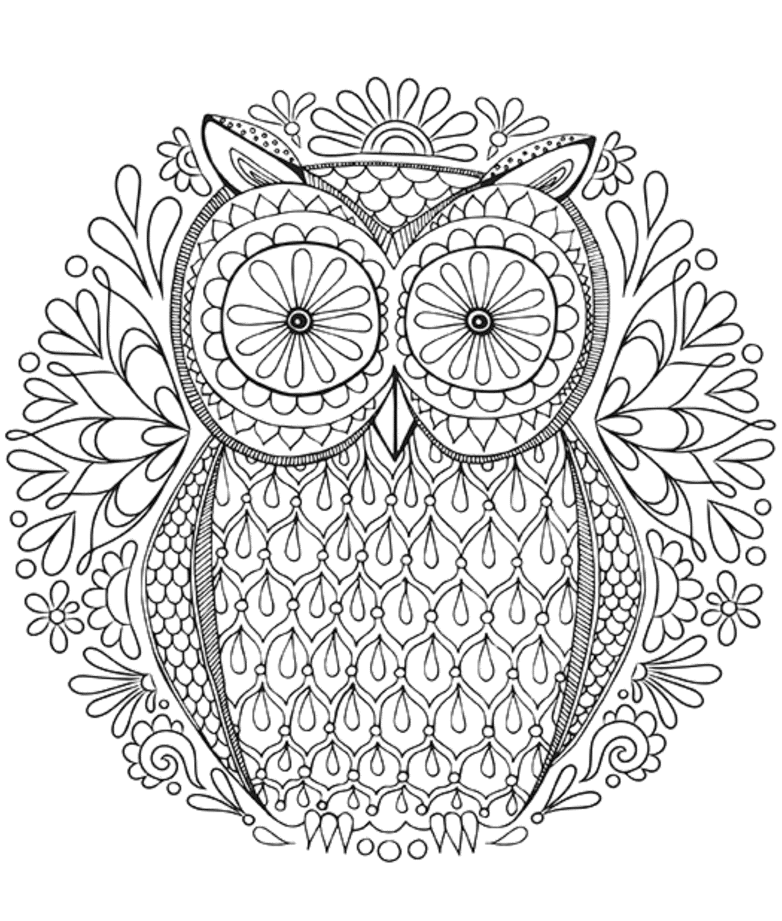 Owl Coloring Pages for Adults #3069 Adult Coloring Pages Printable ...