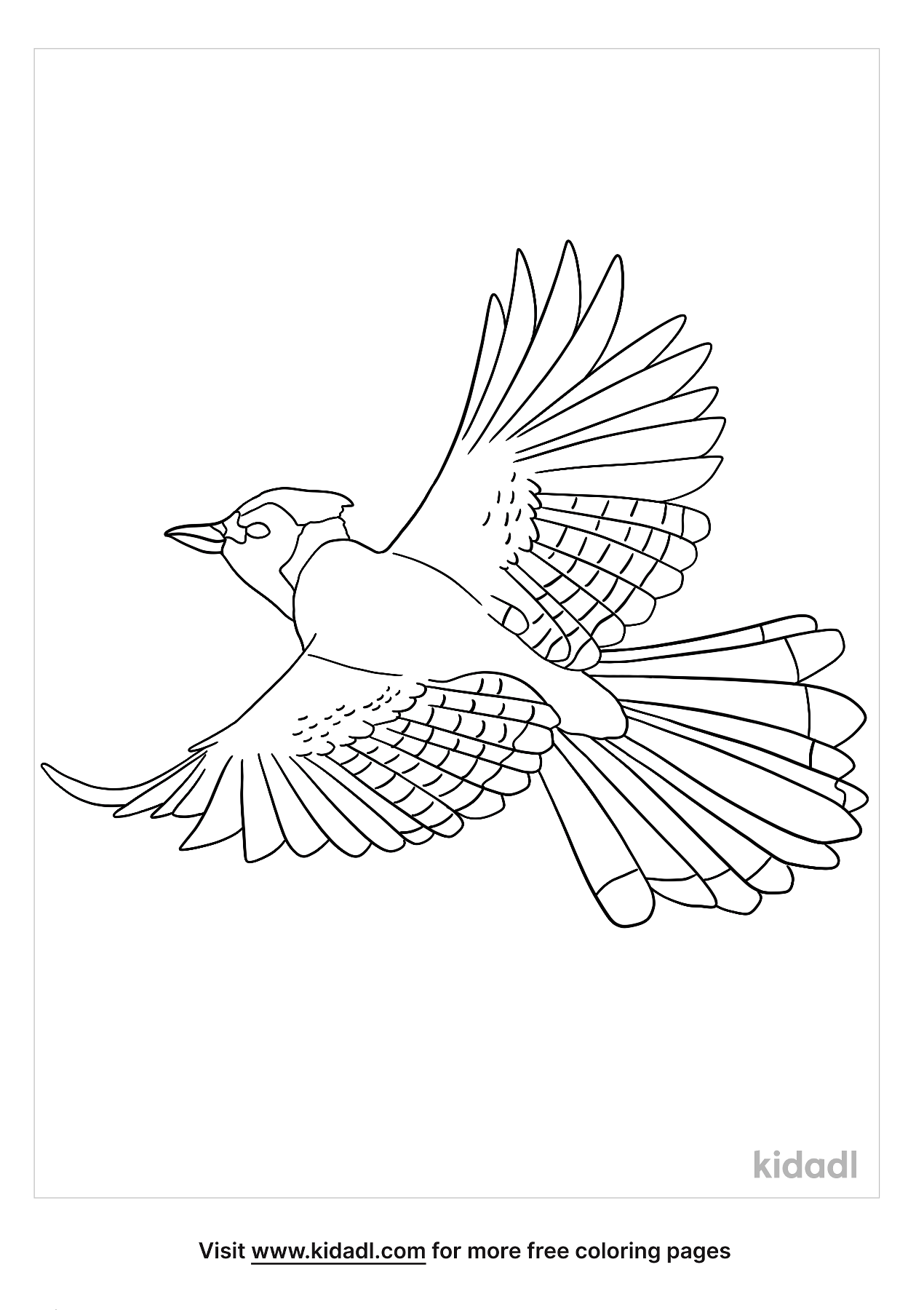 Flying Blue Jay Coloring Pages | Free Birds Coloring Pages | Kidadl