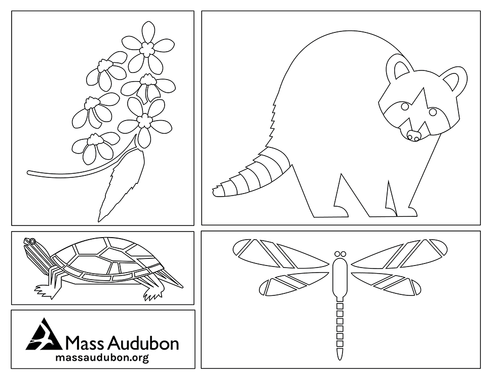 Explore Nature at Home — Coloring Pages