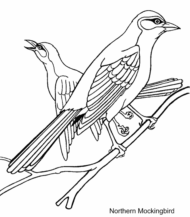 Free Cartoon Bluejay, Download Free Cartoon Bluejay png images, Free  ClipArts on Clipart Library