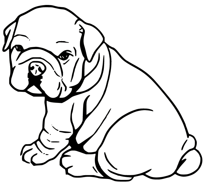Bulldog Coloring Pages - Coloring Pages For Kids And Adults
