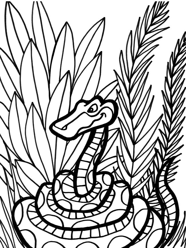 Free Snake Coloring Pages - Toyolaenergy.com