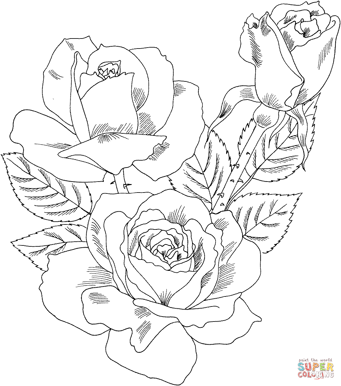 Roses coloring pages | Free Coloring Pages