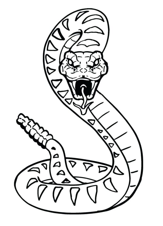 Scary Rattlesnake Coloring Free Printable Of Rattlesnakes Snakes Snake Lego  Ninjago Math Coloring Pages Of Rattlesnakes Coloring Pages kumon tutoring  cost problem solving involving addition and subtraction worksheets  accounting math worksheets irration