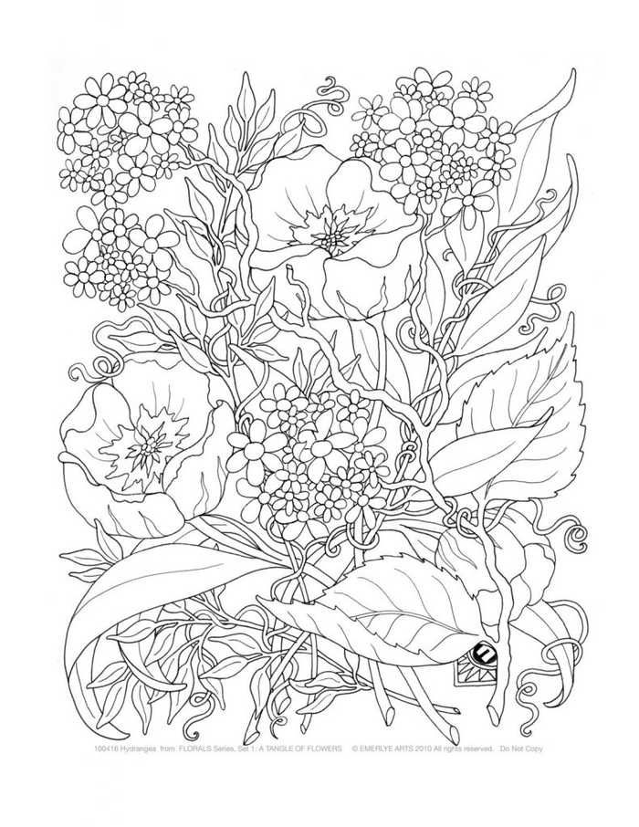 Flower Coloring Pages For Adults PDF Printable - Coloringfolder.com |  Páginas para colorir para adultos, Flores para colorir, Desenhos para  pintar adultos