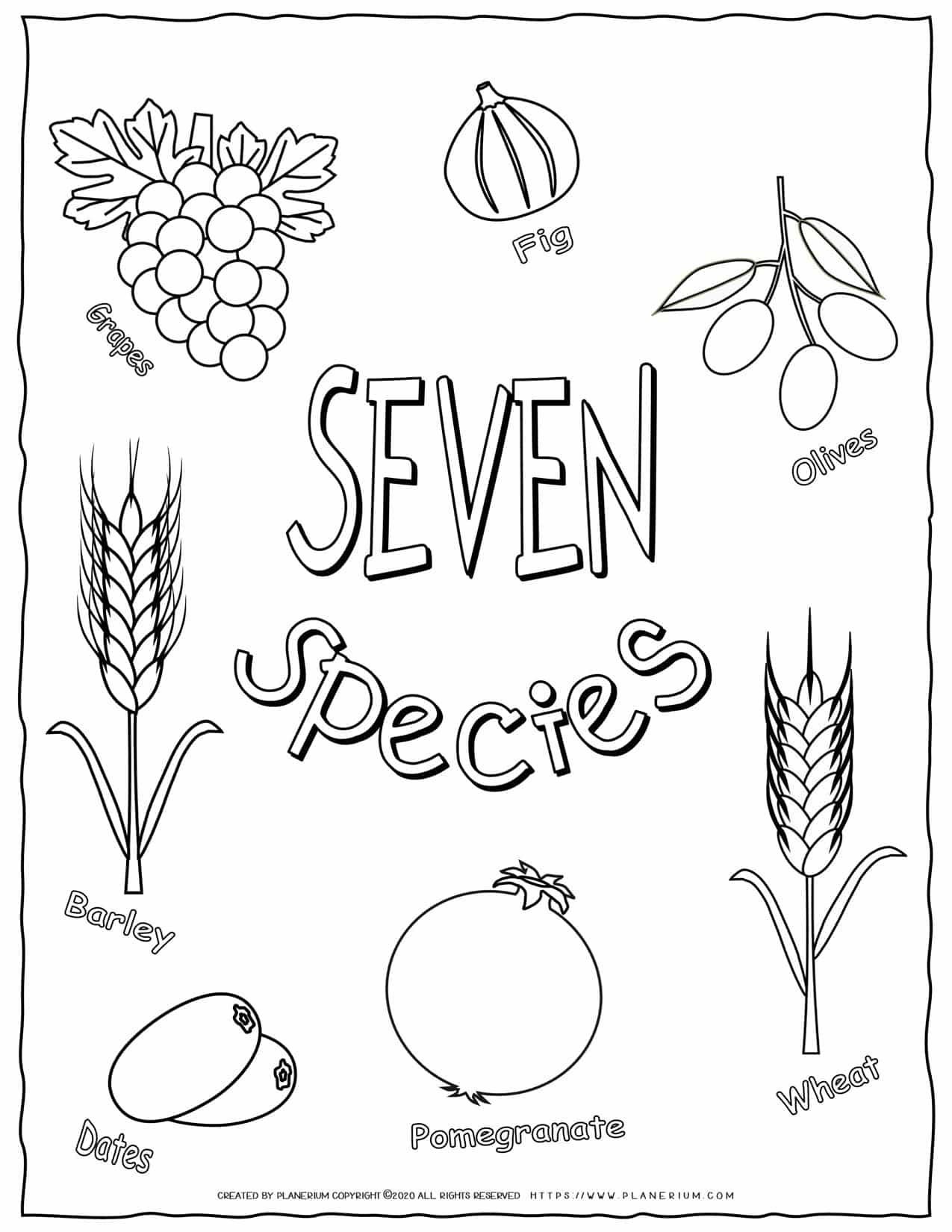 Shavuot Coloring Page - The Seven Species | Planerium