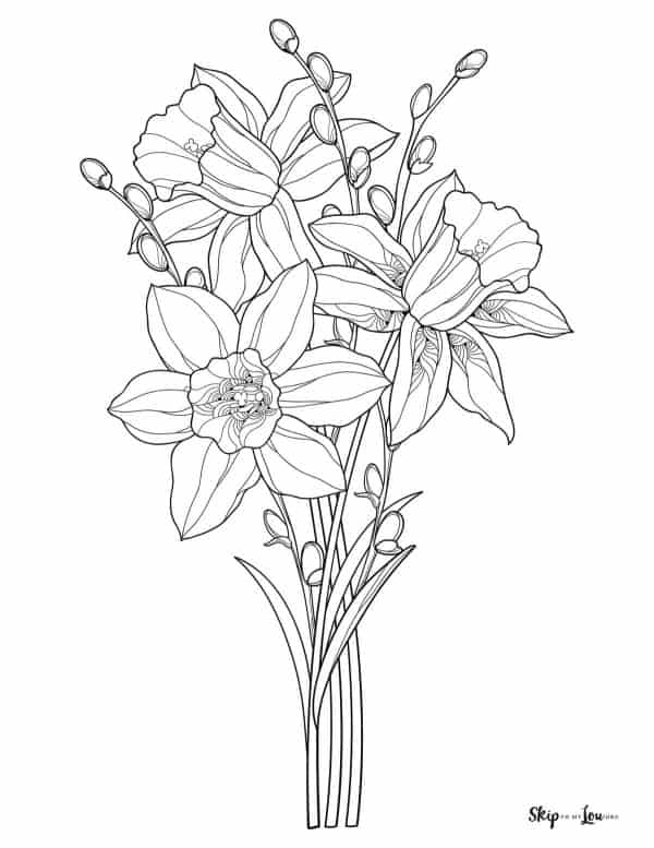 Spring Coloring Pages | Skip To My Lou