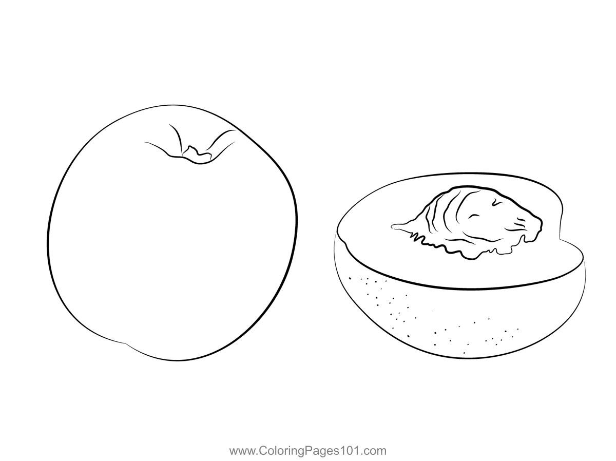 White Nectarine And Cross Section Coloring Page for Kids - Free Nectarine  Printable Coloring Pages Online for Kids - ColoringPages101.com | Coloring  Pages for Kids