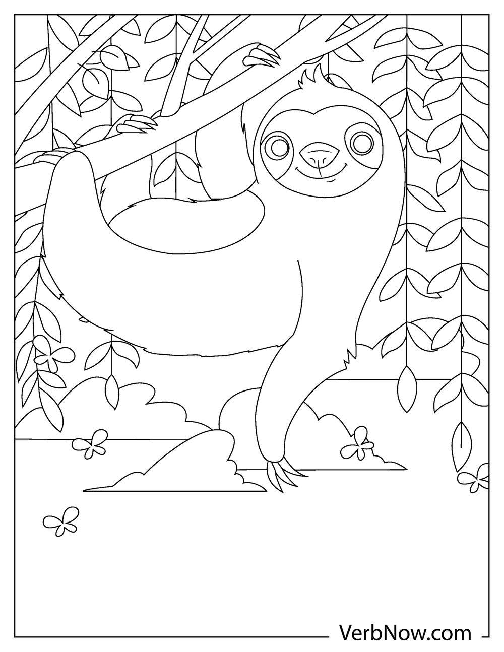 Free SLOTH Coloring Pages & Book for Download (Printable PDF) - VerbNow