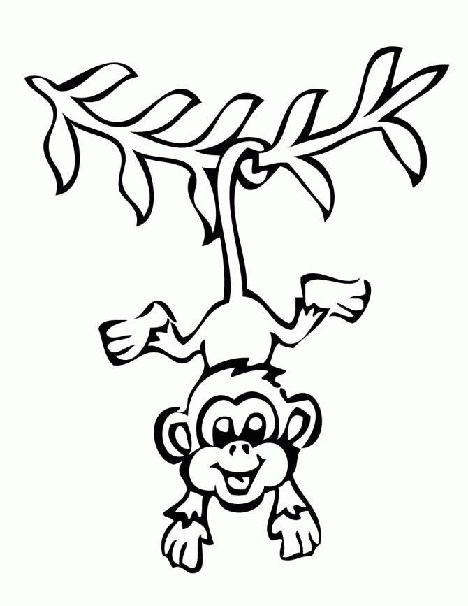 Cute Monkey - Coloring Pages for Kids and for Adults