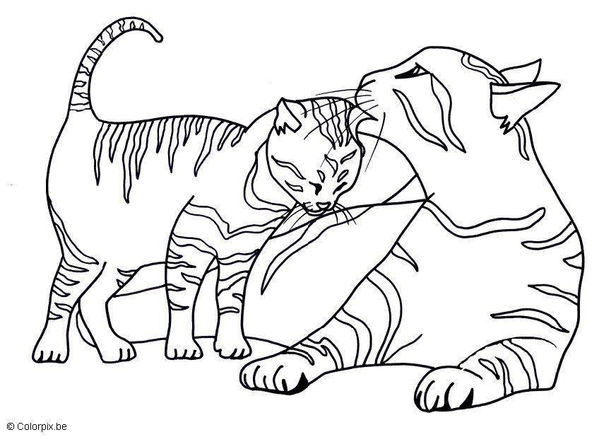 Kitten Coloring Pages - Colorine.net | #18121