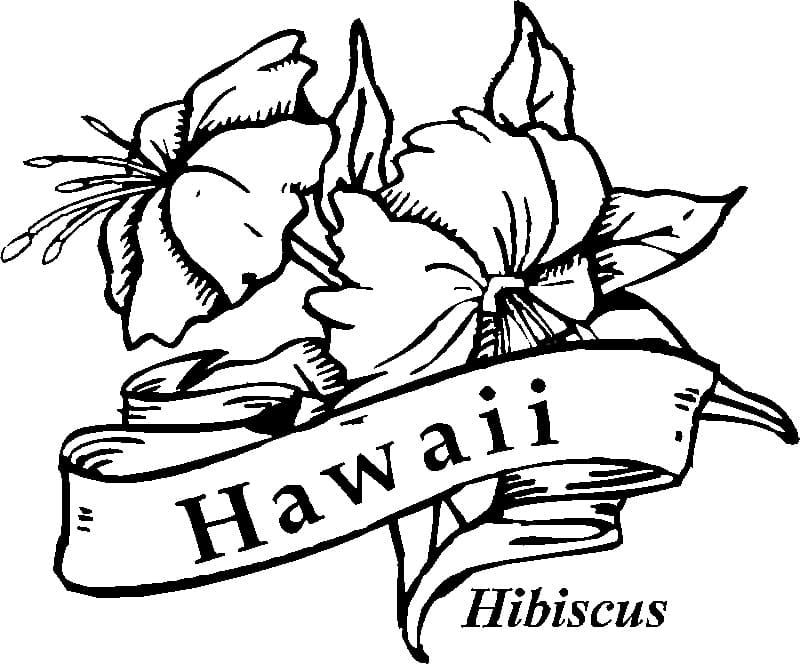 Hawaii Hibiscus Coloring Page - Free Printable Coloring Pages for Kids