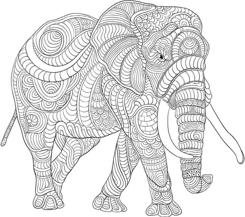 Animals Coloring Pages for Adults | 100 Pictures Free Printable