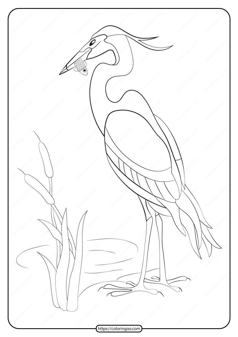 Free Printable Animals Heron Pdf Coloring Page | Bird coloring pages,  Colorful animal paintings, Animal coloring pages