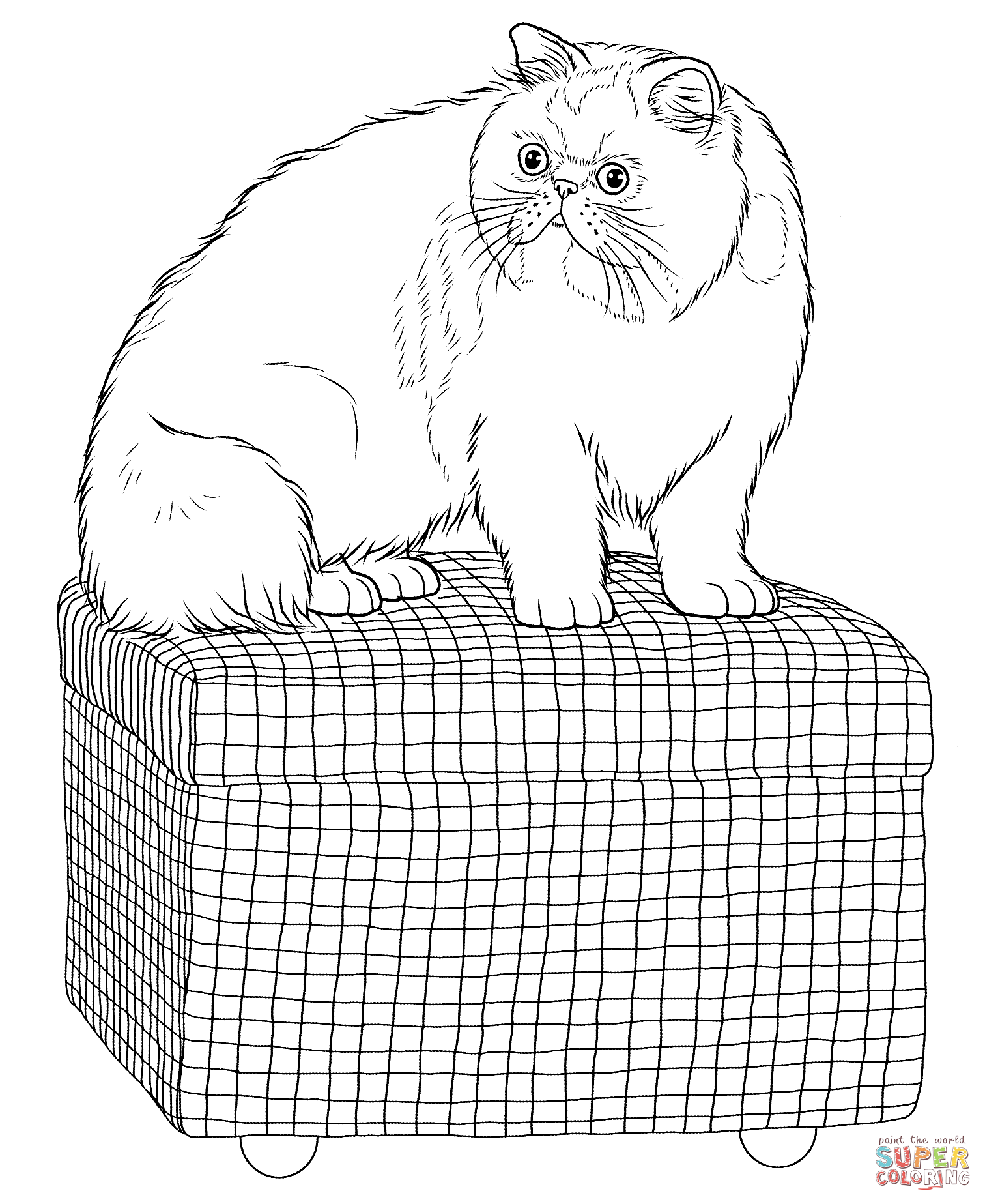 Persian Cat coloring page | Free Printable Coloring Pages