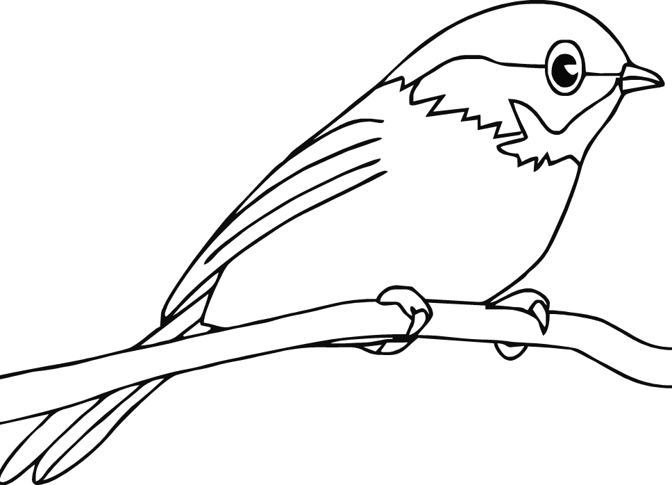 Ohio state bird coloring pages