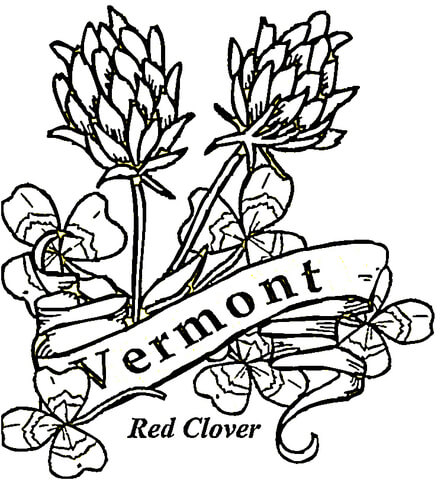 Vermont flowers coloring page | Free Printable Coloring Pages