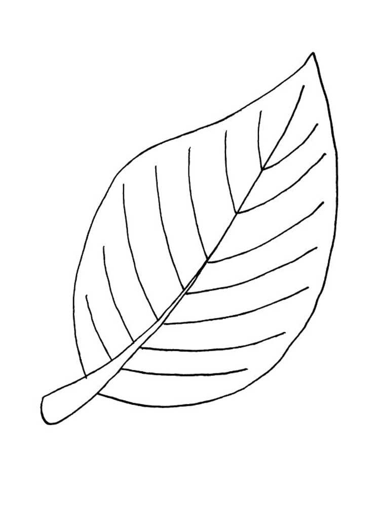 Leaves coloring pages | 90 Free coloring pages for Kids