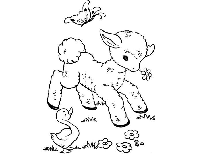 Little Baby Bum Sheep Coloring Page (Page 2) - Line.17QQ.com