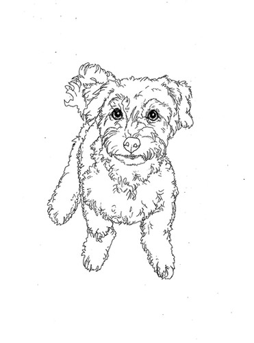 Pen Line Drawing and Digital Copy | sarahpaintspets