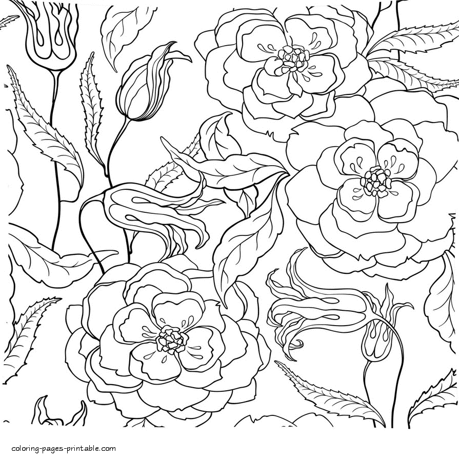 Free Printable Flower. Adult Coloring Pages || COLORING-PAGES ...