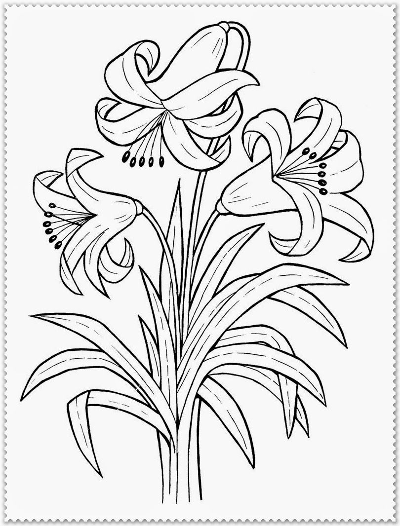 Spring Flower Coloring Page | Realistic Coloring Pages