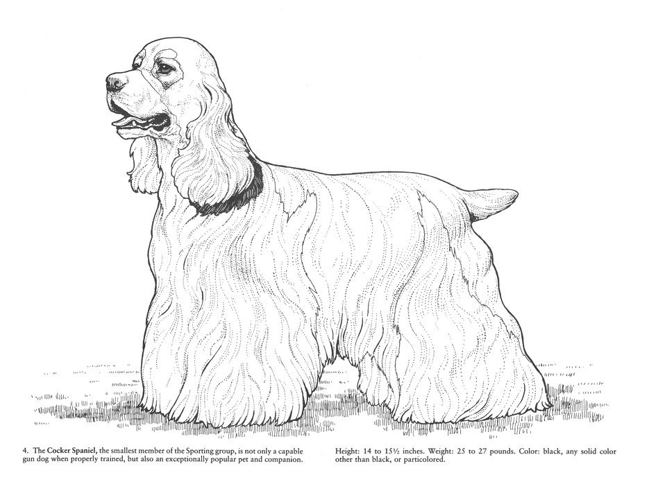 Favorite Dogs Coloring Book: John Green, Soren Robertson: 9780486245522 -  Christianbook.com