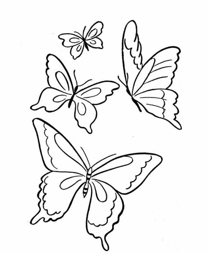 pictures of cartoon butterflies az coloring pages Spring Butterfly ...