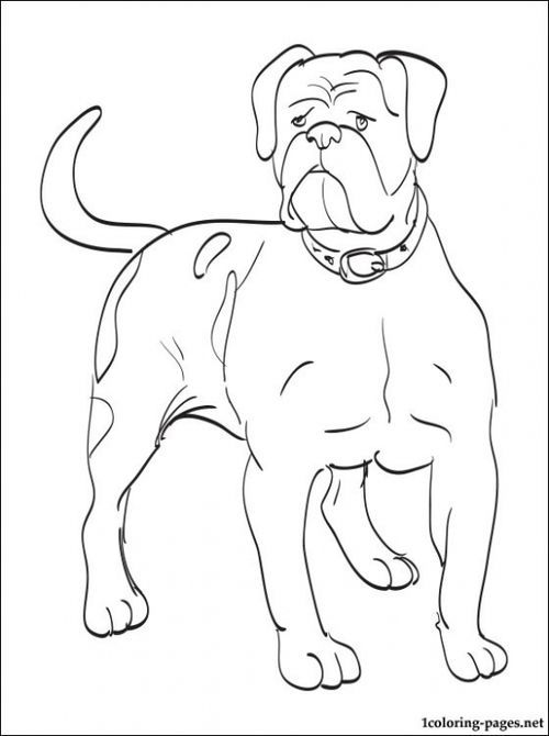 A Large Grown Up American Bulldog Coloring Page - Letscolorit.com | Puppy coloring  pages, Animal coloring pages, Dog coloring page