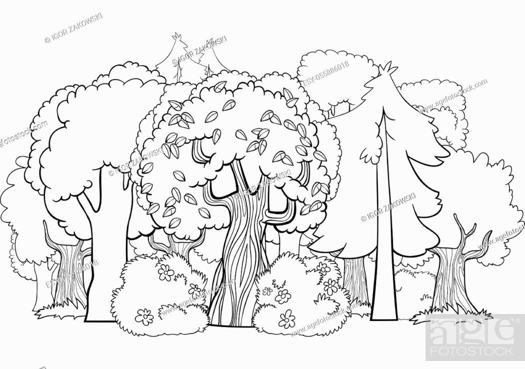 Black and White Cartoon Illustration of mixed Forest with Deciduous and  Coniferous Trees Coloring..., Stock Vector, Vector And Low Budget Royalty  Free Image. Pic. ESY-055886018 | agefotostock