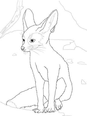 Fennec coloring page | Free Printable Coloring Pages