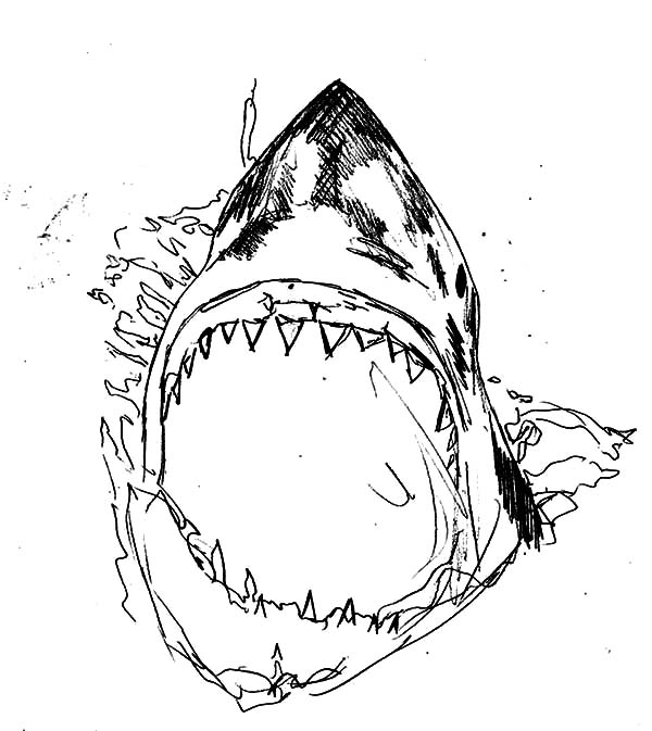 Killer Shark Jaws Coloring Pages : Best Place to Color