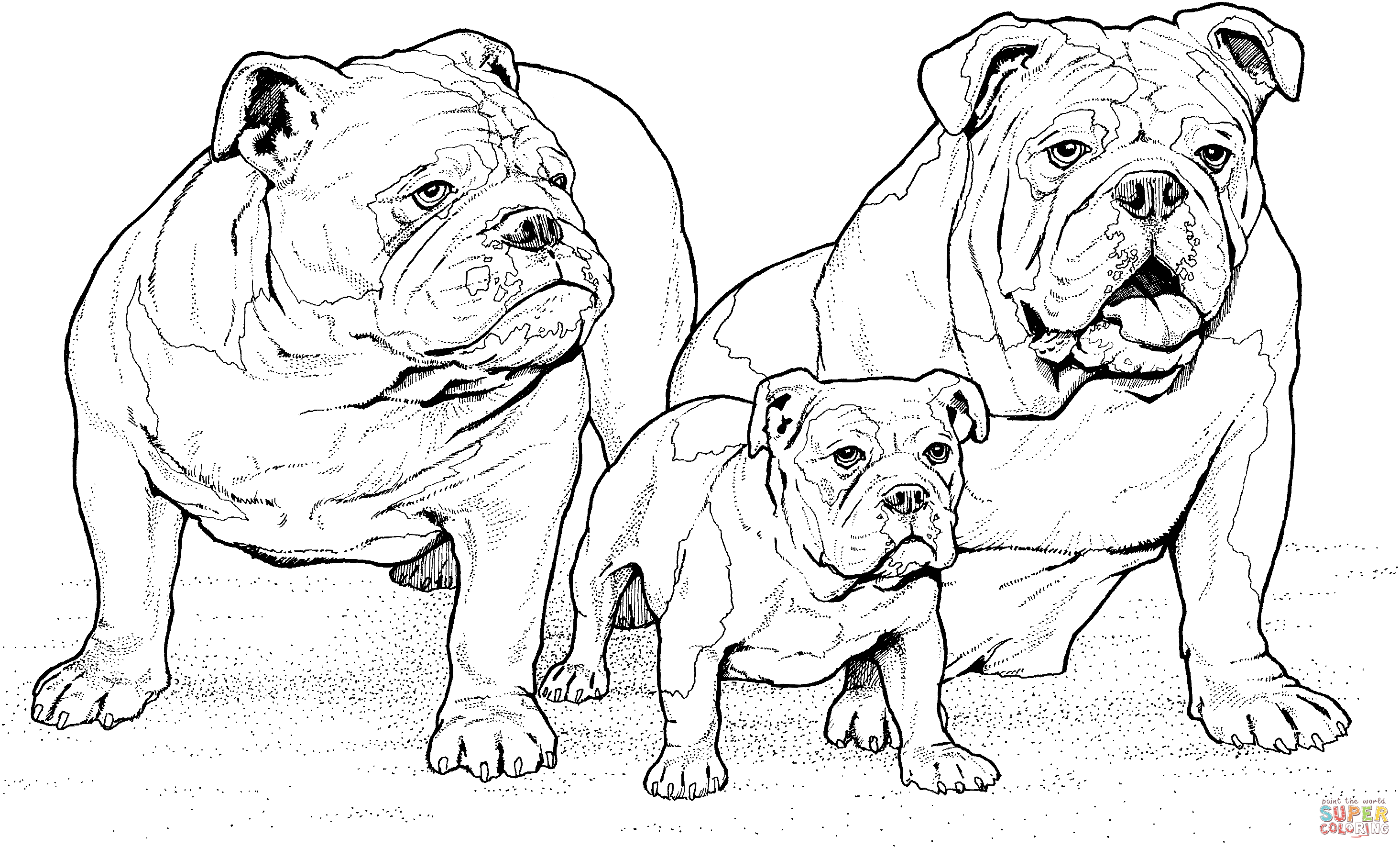 English Bulldogs with Puppy coloring page | Free Printable Coloring Pages