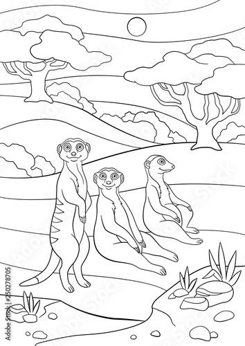 Coloring pages. Three little cute meerkats smile. Stock Vector | Adobe Stock