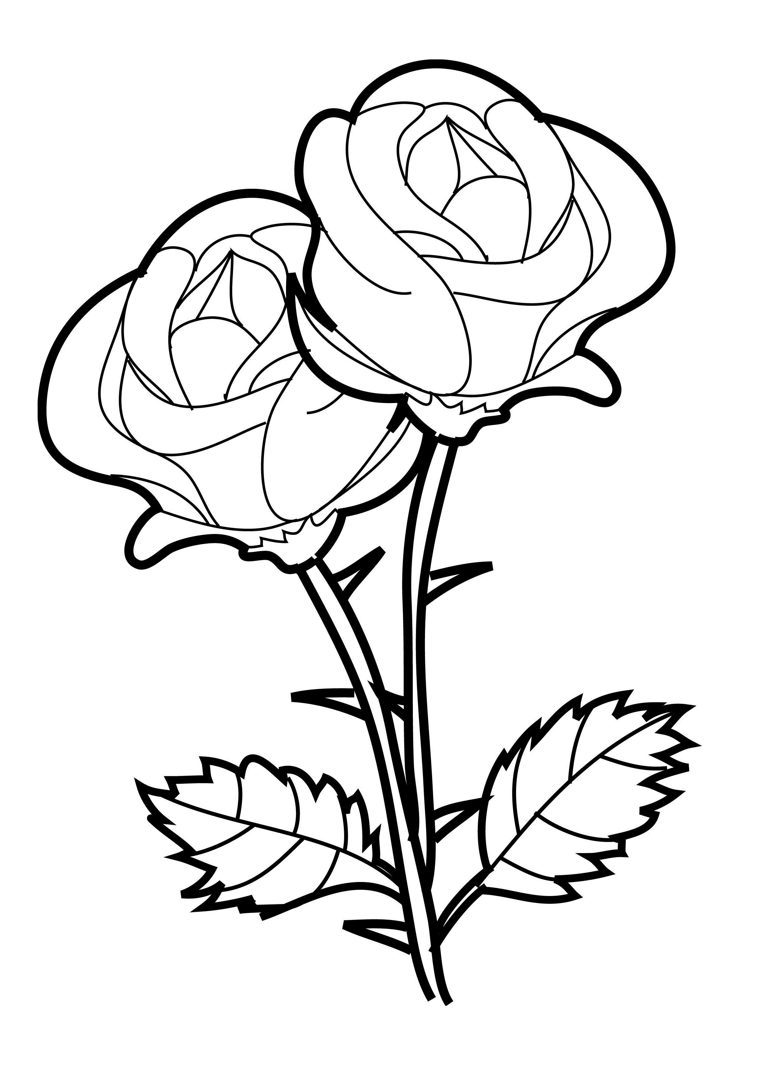 Drawing Roses #161890 (Nature) – Printable coloring pages