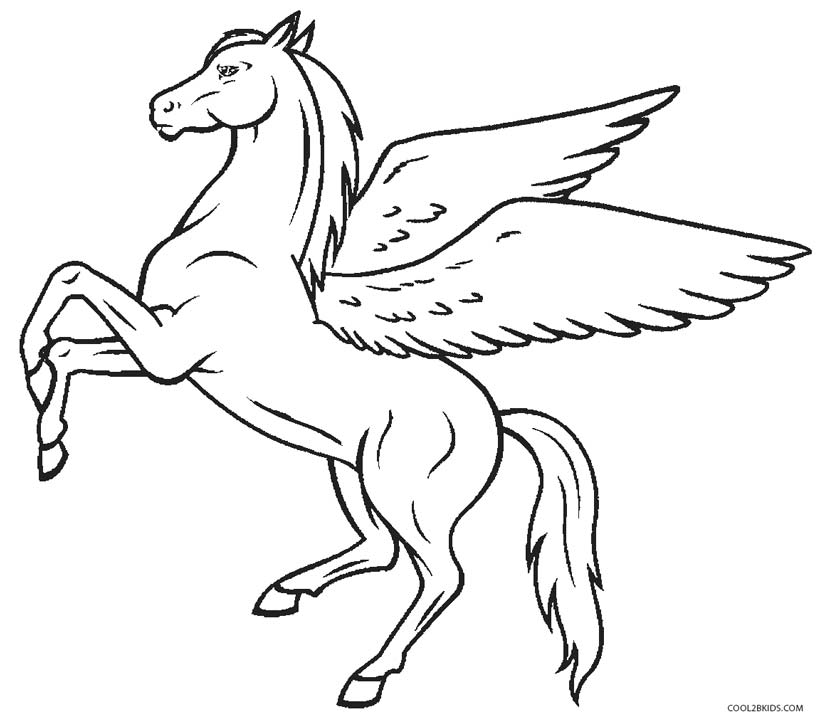 Pegasus Coloring - Coloring Pages for Kids and for Adults